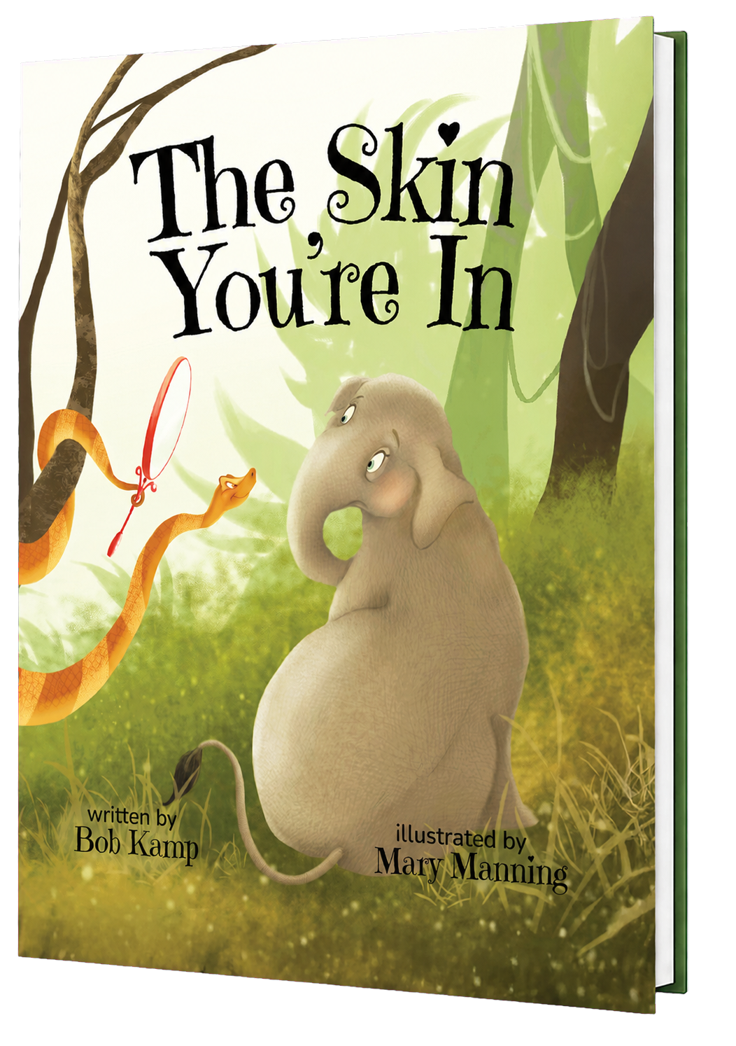 Angled 3D hardcover edition of The Skin You’re In, as shown on the sell sheet